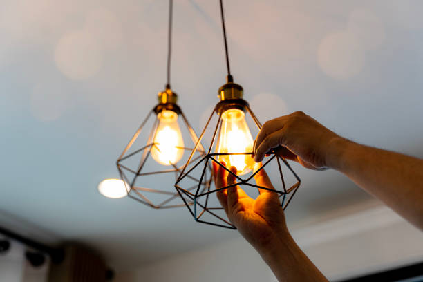 Best Outdoor Lighting Installation  in Greilickville, MI